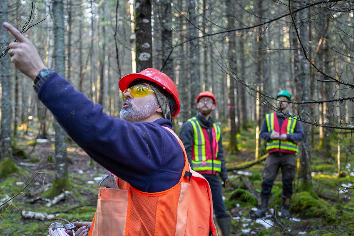 Protection et exploitation des territoires fauniques+Aménagement de la forêt