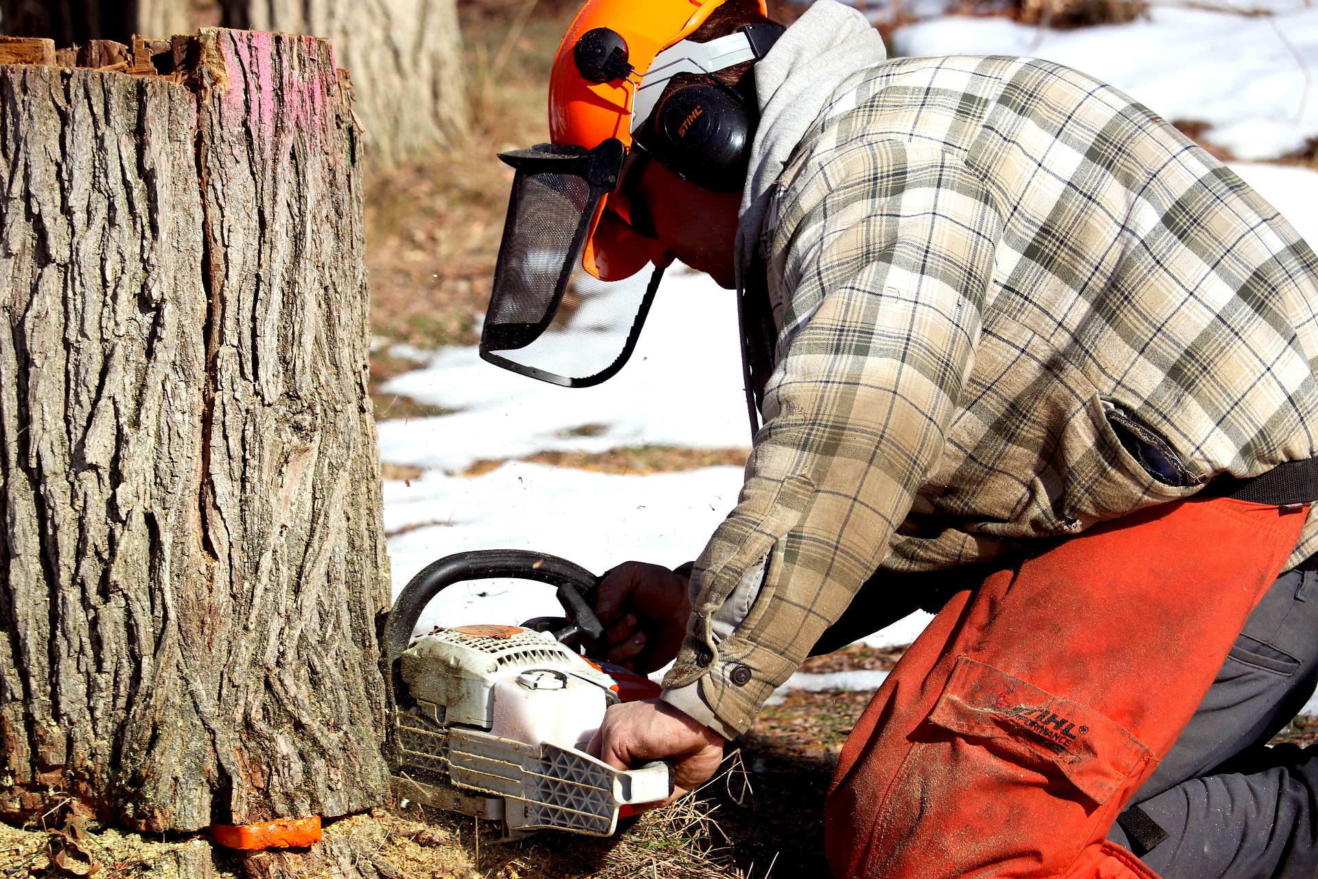 Abattage manuel et débardage forestier + Production acéricole